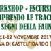 CEA “Selva di Castelfidardo” : workshop – escursione scoprendo le tracce ed i segni della fauna